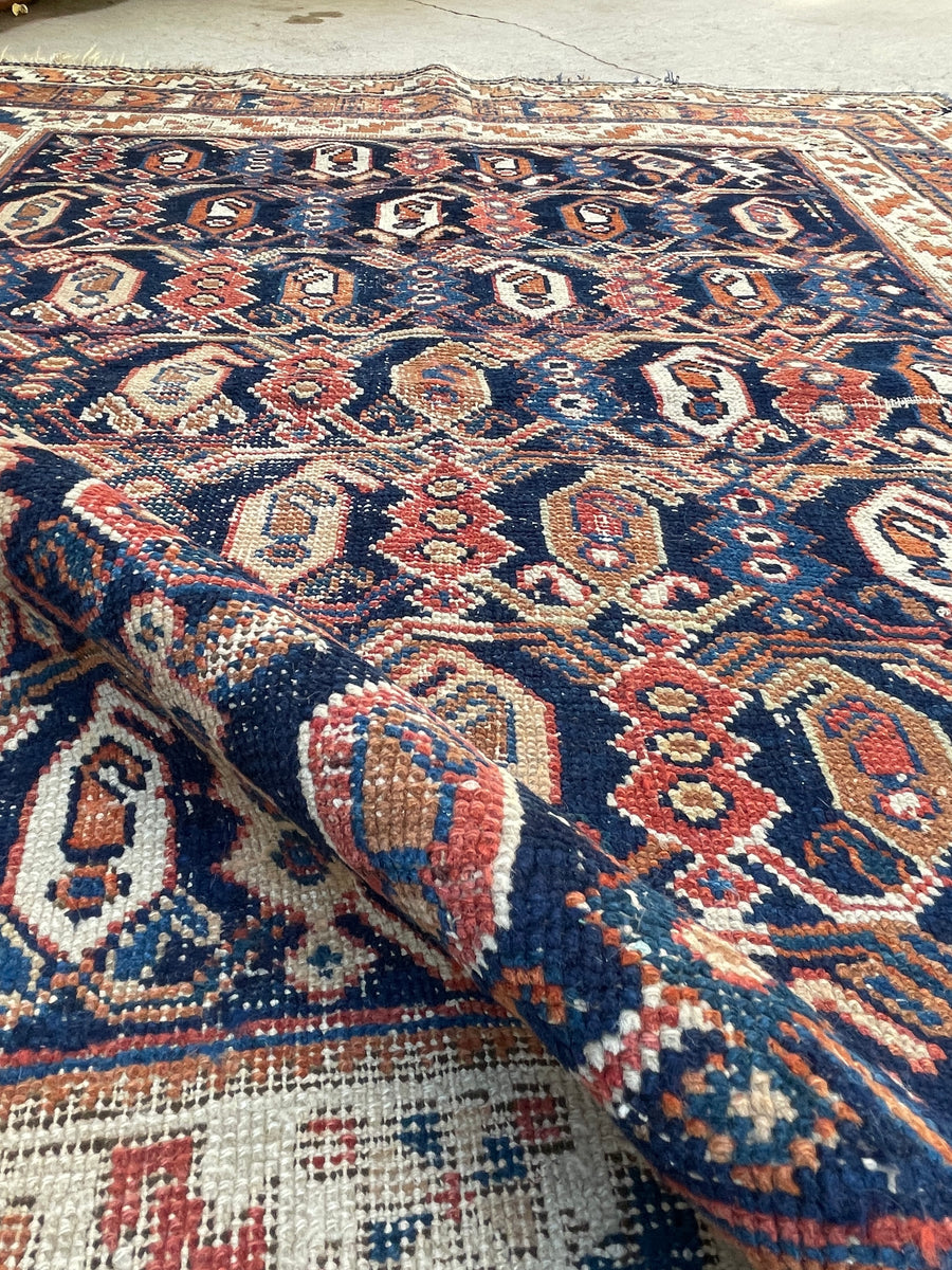 4' x 4'10 Antique square Afshar rug #2163 / 4x5 Vintage Rug