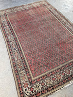 Muted Antique Persian Rug / 4'4 x 6'6 Antique Persian Malayer Rug #3256ML