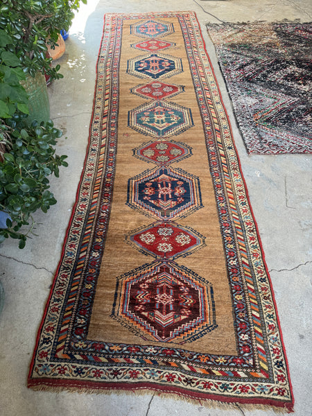 Long Persian runner