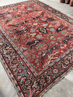 Low pile handwoven rug with border turtles and powerful floral medallions
and drama design
