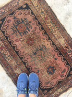 2'7 x 3'9 Antique Persian Malayer - Blue Parakeet Rugs