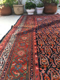 7' x 11'8 Antique Senneh Malayer Rug - Blue Parakeet Rugs