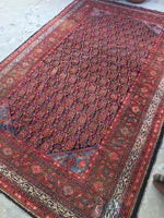 7' x 11'8 Antique Senneh Malayer Rug - Blue Parakeet Rugs