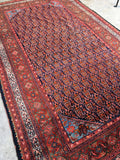 7' x 11'8 Antique Senneh Malayer Rug - Blue Parakeet Rugs