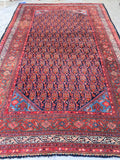 7' x 11'8 Antique Senneh Malayer Rug - Blue Parakeet Rugs