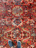 8'10 x 14'10 Antique Palatial Mahal rug #2125 / 9x15 Vintage Rug - Blue Parakeet Rugs