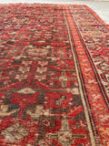 6'10 x 8'10 Antique Persian Malayer rug #2300 - Blue Parakeet Rugs