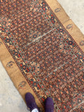 3'8 x 19'7 Antique camel hair runner #2001 / 4x20 Vintage runner - Blue Parakeet Rugs