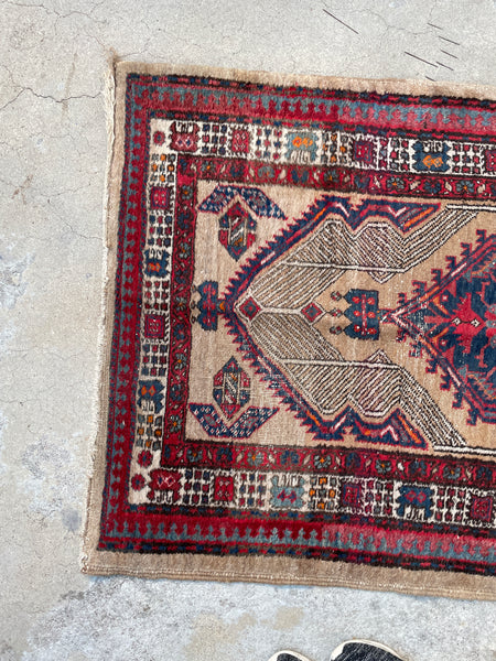 Couristan Vienna Camel/Brown 13x16 feet Olefin Carpet Remnant