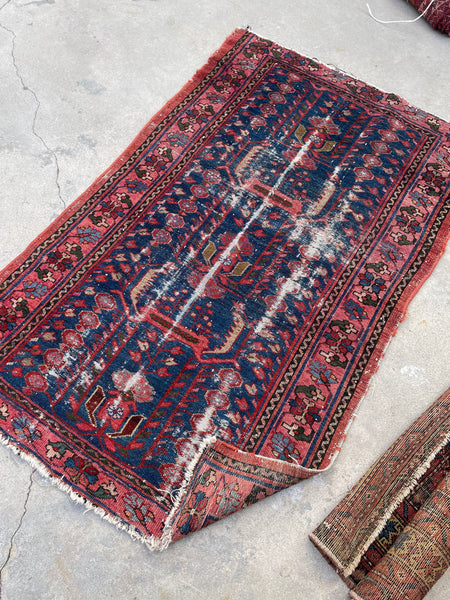 [vintage rugs] - Blue Parakeet Rugs