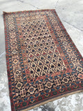 4'11" x 7' Collectible Kuba rug - 1880s - Blue Parakeet Rugs