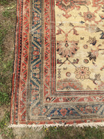 6 x 13'3" Antique Malayer Rug - Blue Parakeet Rugs