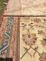 6 x 13'3" Antique Malayer Rug - Blue Parakeet Rugs