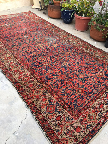 5x10 Antique Hamadan Rug / Vintage Rug - Blue Parakeet Rugs