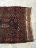 3' x 4'9" Antique Baluch Rug - Blue Parakeet Rugs