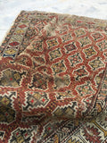 3'5 x 5'1 Antique Caucasian Rug / small antique rug - Blue Parakeet Rugs