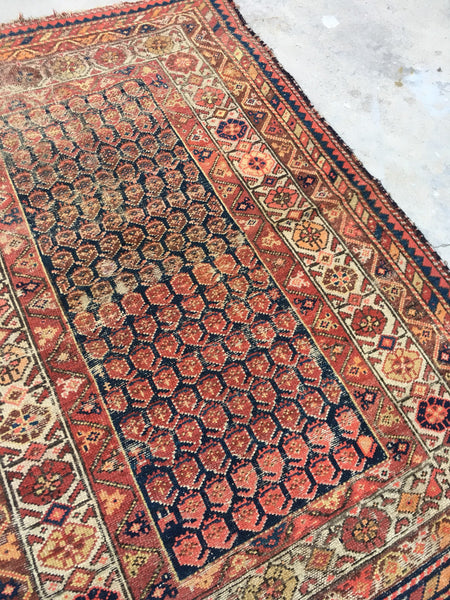 3'9" x 5'9" Antique Hamadan Rug / Small Antique Rug - Blue Parakeet Rugs