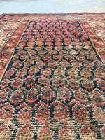 3'9" x 5'9" Antique Hamadan Rug / Small Antique Rug - Blue Parakeet Rugs