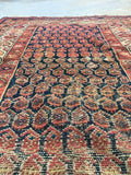 3'9" x 5'9" Antique Hamadan Rug / Small Antique Rug - Blue Parakeet Rugs