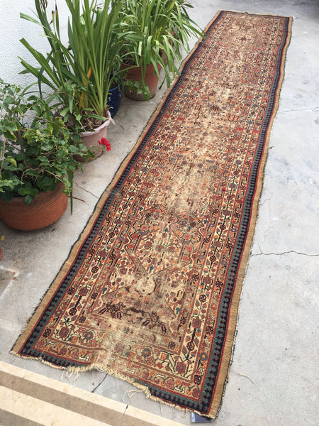 3’5 x 16’3  Antique 19th Century Camel hair Runner / Antique Rug Runner (#976) - Blue Parakeet Rugs