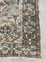 [vintage rugs] - Blue Parakeet Rugs